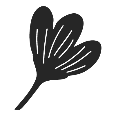 Cartoon leaf